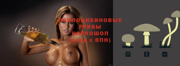 трава Балахна