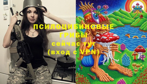 трава Балахна