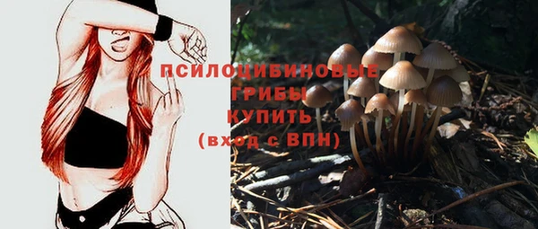 дурь Баксан
